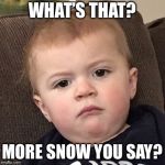 Grumpy Baby | WHAT’S THAT? MORE SNOW YOU SAY? | image tagged in grumpy baby | made w/ Imgflip meme maker