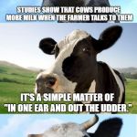 Anything to prevent being a milk dud. | STUDIES SHOW THAT COWS PRODUCE MORE MILK WHEN THE FARMER TALKS TO THEM; IT'S A SIMPLE MATTER OF "IN ONE EAR AND OUT THE UDDER." | image tagged in bad pun cow,really bad pun,got milk | made w/ Imgflip meme maker