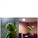 Kermit contemplate Suicide
