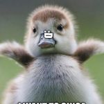 Baby Duck | :D; I WANT TO SINGA | image tagged in baby duck | made w/ Imgflip meme maker