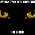 Oh sorry, Cant you see I have fake eyes? - Im blind | OH SORRY, CANT YOU SEE I HAVE FAKE EYES? IM BLIND | image tagged in eyes,oh sorry cant you see i have fake eyes - im blind,memes | made w/ Imgflip meme maker
