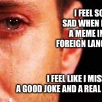 1st rate imgflip problems | I FEEL SO SAD WHEN I SEE A MEME IN A FOREIGN LANGUAGE; I FEEL LIKE I MISSED OUT ON A GOOD JOKE AND A REAL EDUCATION | image tagged in 1st rate imgflip problems | made w/ Imgflip meme maker