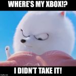 Gidget Wants Her Xbox Back | WHERE’S MY XBOX!? I DIDN’T TAKE IT! | image tagged in gidget slap,the secret life of pets,xbox,memes | made w/ Imgflip meme maker