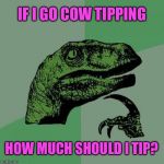 Urban legend or not, I would like to know | IF I GO COW TIPPING; HOW MUCH SHOULD I TIP? | image tagged in philosiraptor meme,memes,cows,tipping,enough,money | made w/ Imgflip meme maker