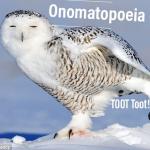 Onomatopoeia Owl