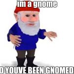 gnomed | im a gnome; AND YOUVE BEEN GNOMED!!!!!! | image tagged in gnomed | made w/ Imgflip meme maker