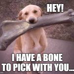 dog bone | HEY! I HAVE A BONE TO PICK WITH YOU... | image tagged in dog bone | made w/ Imgflip meme maker