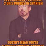 That face you make | JUST BECAUSE YOU KNOW 2 OR 3 WORDS IN SPANISH; DOESN'T MEAN YOU'RE FLUENT IN ANOTHER LANGUAGE | image tagged in that face you make,funny memes,memes,language,translator | made w/ Imgflip meme maker