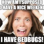 BEDBUG NERVOUS BREAKDOWN | HOW AM I SUPPOSED TO HAVE A NICE WEEKEND? I HAVE BEDBUGS! | image tagged in nervous breakdown,freaking out,bedbugs,pulling out my hair,losing my mind,going crazy | made w/ Imgflip meme maker