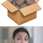 AOC_dumb_rocks