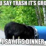 bear eating trash | YOU SAY TRASH IT'S GROSS; I SAY IT'S DINNER | image tagged in bear eating trash | made w/ Imgflip meme maker