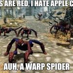 Skyrim mod | ROSES ARE RED,
I HATE APPLE CIDER; AUH, A WARP SPIDER | image tagged in skyrim mod | made w/ Imgflip meme maker