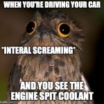 internal screaming | WHEN YOU'RE DRIVING YOUR CAR; *INTERAL SCREAMING*; AND YOU SEE THE ENGINE SPIT COOLANT | image tagged in internal screaming | made w/ Imgflip meme maker