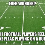 football field  | EVER WONDER? IF FOOTBALL PLAYERS FEEL LIKE FLEAS PLAYING ON A RULER | image tagged in football field,football,nfl | made w/ Imgflip meme maker