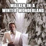 Walken in the snow | WALKEN  IN  A  WINTER  WONDERLAND. | image tagged in walken in the snow | made w/ Imgflip meme maker