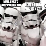Stormtroopers | MAN, THAT’S GROSS LOOKING; ISN’T THAT VADER’S CAT; VADER IS GONNA KILL US; WE ACTUALLY HIT SOMETHING? | image tagged in stormtroopers | made w/ Imgflip meme maker
