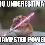 Star Wars hamster | YOU UNDERESTIMATE; HAMPSTER POWER | image tagged in star wars hamster | made w/ Imgflip meme maker