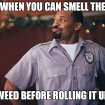 Mike Epps | WHEN YOU CAN SMELL THE; WEED BEFORE ROLLING IT UP | image tagged in mike epps | made w/ Imgflip meme maker