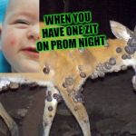 Supper's On, Boys! | WHEN YOU HAVE ONE ZIT ON PROM NIGHT | image tagged in supper's on boys | made w/ Imgflip meme maker