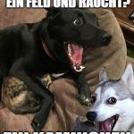 Doggos | WAS RENNT ÜBER EIN FELD UND RAUCHT? EIN KAMINCHEN | image tagged in doggos | made w/ Imgflip meme maker