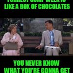 Forrest gump week Feb 10th-16th A CravenMoordik event! | FORREST GUMP WEEK IS LIKE A BOX OF CHOCOLATES; YOU NEVER KNOW WHAT YOU'RE GONNA GET | image tagged in forrest gump box of chocolates,nixieknox,forrest gump week,memes | made w/ Imgflip meme maker