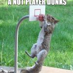 Squirrel basketball | OH I THINK THAT A NUT PLAYER DUNKS; THE CROWD GOES WILD | image tagged in squirrel basketball | made w/ Imgflip meme maker