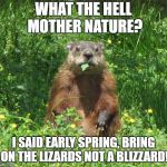 Ground Hog Eating | WHAT THE HELL MOTHER NATURE? I SAID EARLY SPRING, BRING ON THE LIZARDS NOT A BLIZZARD! | image tagged in ground hog eating | made w/ Imgflip meme maker