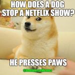 Doge 2 | HOW DOES A DOG STOP A NETFLIX SHOW? HE PRESSES PAWS; @DadJokesnMemes | image tagged in memes,doge 2 | made w/ Imgflip meme maker
