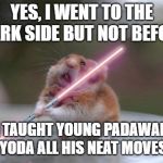 Star Wars hamster | YES, I WENT TO THE DARK SIDE BUT NOT BEFORE; I TAUGHT YOUNG PADAWAN YODA ALL HIS NEAT MOVES | image tagged in star wars hamster | made w/ Imgflip meme maker