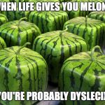 MELONS | WHEN LIFE GIVES YOU MELONS; YOU'RE PROBABLY DYSLECIX | image tagged in memes,when lif gives you lemons,when life gives you lemons,melons,dyslexic | made w/ Imgflip meme maker