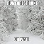 Here's a meme entry for Forrest Gump week | RUN FOREST RUN! OH WAIT. | image tagged in snowy forest,forrest gump week,forest,memes | made w/ Imgflip meme maker