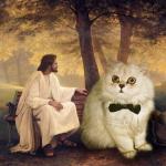 Jesus cat