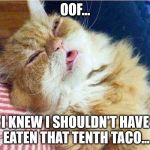 Cat sleepy | OOF... I KNEW I SHOULDN'T HAVE EATEN THAT TENTH TACO... | image tagged in cat sleepy | made w/ Imgflip meme maker