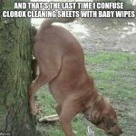 Dog wiping ass on tree | AND THAT'S THE LAST TIME I CONFUSE CLOROX CLEANING SHEETS WITH BABY WIPES | image tagged in dog wiping ass on tree | made w/ Imgflip meme maker