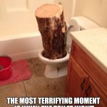 Toilet log | THE MOST TERRIFYING MOMENT IS WHEN THE TOILET WON'T FLUSH AT SOMEONE ELSE'S HOUSE | image tagged in toilet log | made w/ Imgflip meme maker
