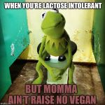 No Vegans here ma’am  | WHEN YOU’RE LACTOSE INTOLERANT; BUT MOMMA AIN’T RAISE NO VEGAN | image tagged in kermit public toilet,lactose intolerant,vegan | made w/ Imgflip meme maker