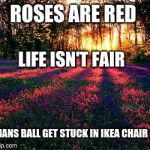 roses are red | ROSES ARE RED; LIFE ISN'T FAIR; MANS BALL GET STUCK IN IKEA CHAIR | image tagged in roses are red | made w/ Imgflip meme maker