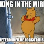 Winnie | LOOKING IN THE MIRROR; POOH DETERMINED HE FORGOT HIS PANTS | image tagged in winnie | made w/ Imgflip meme maker