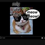 Youtube video screen | mlg; cute kitty! meow meow! | image tagged in youtube video screen | made w/ Imgflip meme maker