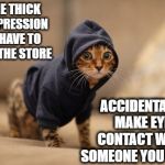 Depression Cat | IN THE THICK OF DEPRESSION BUT HAVE TO GO TO THE STORE ACCIDENTALLY MAKE EYE CONTACT WITH SOMEONE YOU KNOW | image tagged in memes,hoody cat | made w/ Imgflip meme maker
