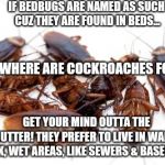 Cockroaches | IF BEDBUGS ARE NAMED AS SUCH CUZ THEY ARE FOUND IN BEDS... THEN WHERE ARE COCKROACHES FOUND? GET YOUR MIND OUTTA THE GUTTER!
THEY PREFER TO LIVE IN WARM, DARK, WET AREAS, LIKE SEWERS & BASEMENTS | image tagged in cockroaches | made w/ Imgflip meme maker