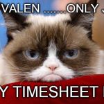 Grumpy Cat does Valentines | HAPPY VALEN .......ONLY JOKING; HAPPY TIMESHEET DAY!!! | image tagged in grumpycat valentine,timesheet reminder,grumpy cat timesheet reminder,grumpy cat timesheet meme,valentines timesheet meme,valenti | made w/ Imgflip meme maker