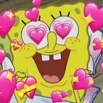 spongelove