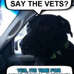 Dismayed Duke | SO, WHERE ARE WE GOING? TO THE VETS; DID YOU JUST SAY THE VETS? YES, ITS TIME FOR YOUR ANNUAL CHECKUP! | image tagged in dismayed duke,memes,dogs,jokes,vets,shocked | made w/ Imgflip meme maker