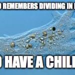 Amoeba | WHO REMEMBERS DIVIDING IN HALF; TO HAVE A CHILD? | image tagged in amoeba | made w/ Imgflip meme maker