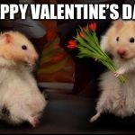 My Valentine | HAPPY VALENTINE’S DAY! | image tagged in my valentine | made w/ Imgflip meme maker