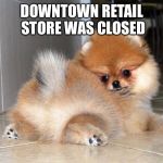 Zem puns | DOWNTOWN RETAIL STORE WAS CLOSED | image tagged in dog,tail,retail | made w/ Imgflip meme maker