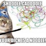 Wizard Cat | SHOODLE CADOODLE; YOUR DICK IS A NOODLE! | image tagged in wizard cat | made w/ Imgflip meme maker