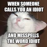 smug cat | WHEN SOMEONE CALLS YOU AN IDIOT; AND MISSPELLS THE WORD IDIOT | image tagged in smug cat | made w/ Imgflip meme maker