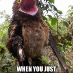 Big eye potoo | WHEN YOU JUST CAN’T HIT THAT HIGH NOTE | image tagged in big eye potoo | made w/ Imgflip meme maker